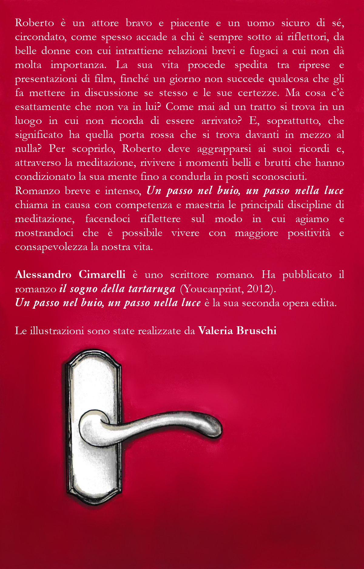 Quarta di copertina di Un passo nel buio, un passo nella luce con la sinossi del romanzo